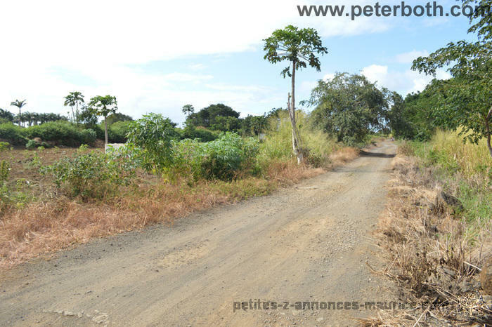 A VENDRE TERRAIN AGRICOLE A PETIT RAFFRAY