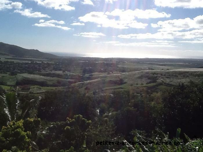 LES MARIANNES - RESPIREZ LA NATURE.