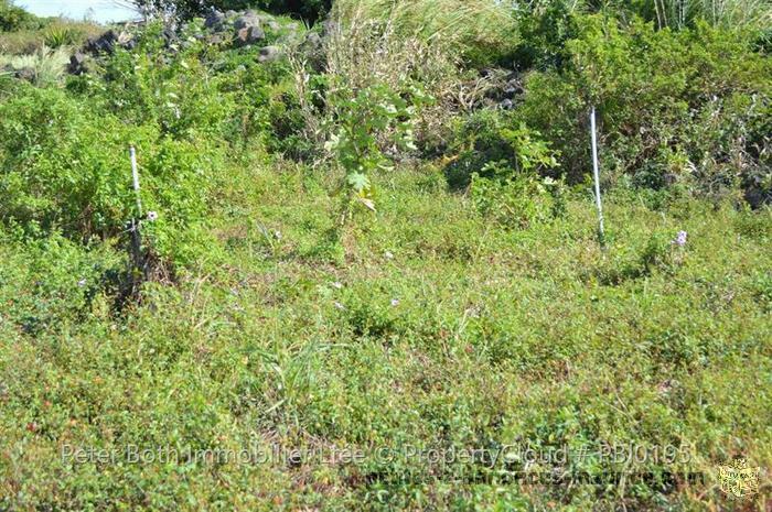 A VENDRE TERRAIN A CUREPIPE