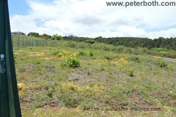 land for sale at floreal