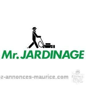 Service lavage ,nettoyage , jardinage