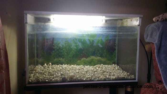 Aquarium for sale