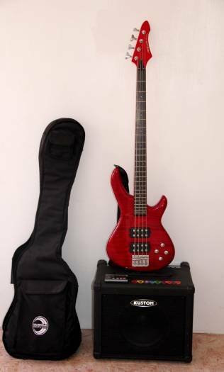 FOR SALE ELECTRIC BASS AMPS + + + TUNER + BAG MEDIATORS