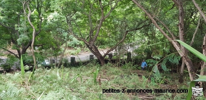 NICE RESIDENTIAL LAND OF 13 PERCHES FOR SALE IN COROMANDEL MAURITIUS