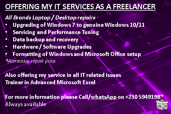 OFFERING MY IT SERVICES AS A FREELANCER