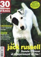 Superbe mâle Jack Russell Terrier